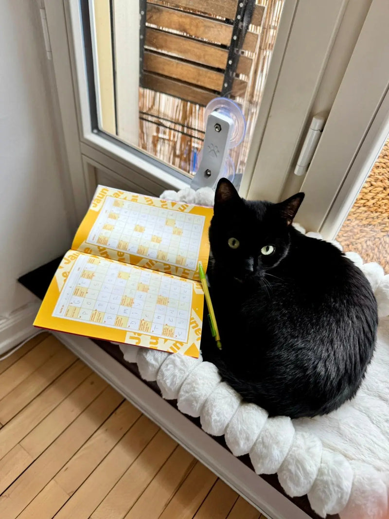 Chat noir sur coussin près d'une fenêtre avec cahiers de mots fléchés GRILLÉ ouverts