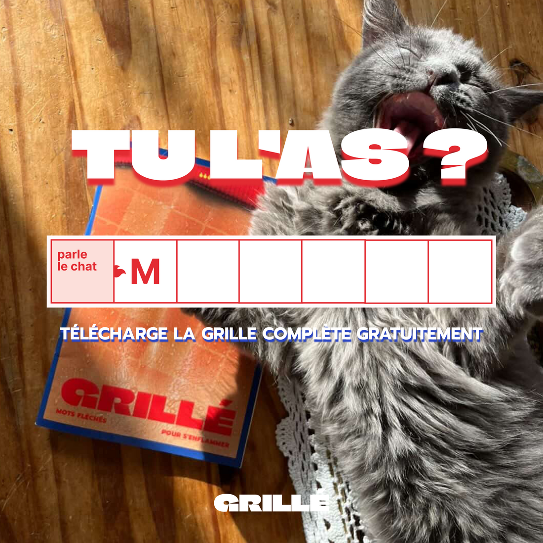 Mots fléchés en ligne : et si tu essayais ?