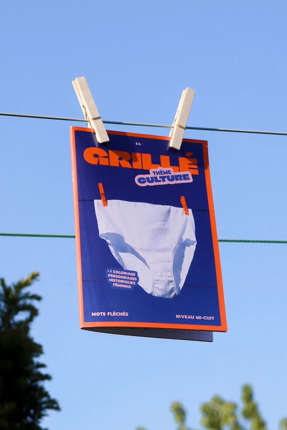 Mots Fléchés Grillé CULTURE