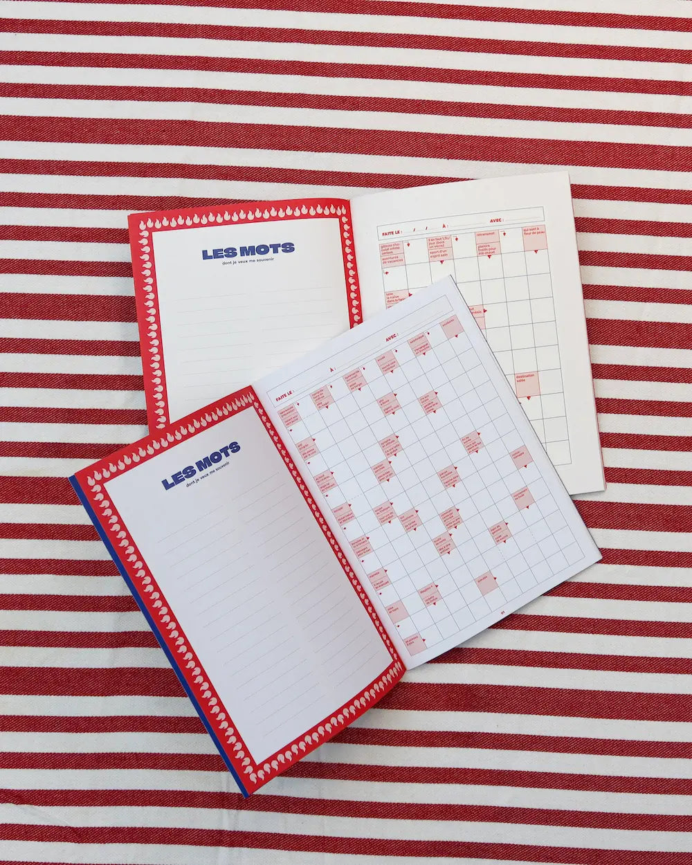 cahiers de mots fléchés du pack découverte ouverts à la page mots