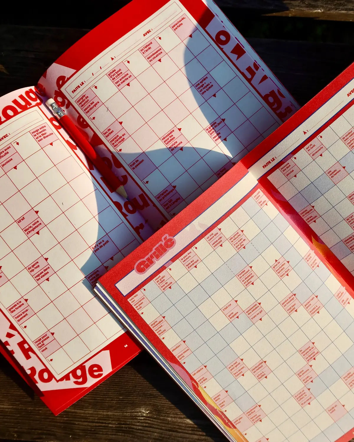  Double page grille mots fléchés cahier Grillé niveau CHAUD